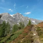 Apart-pension Oberreiter 3*