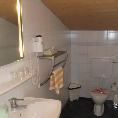 Apart-pension Oberreiter 3*