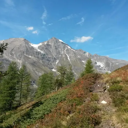 Apart-pension Oberreiter 3*