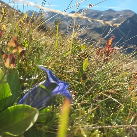 Apart-pension Oberreiter